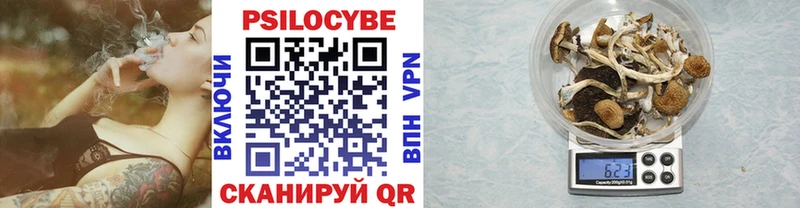 Псилоцибиновые грибы Cubensis  Купить закладки  Конаково 